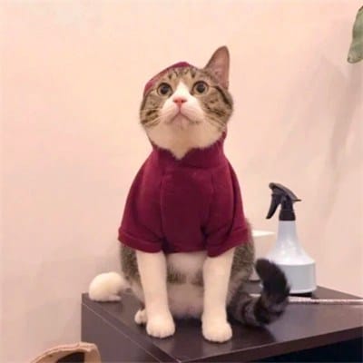 ธนวัฒน์ ซึ้งจิตถาวร avatar